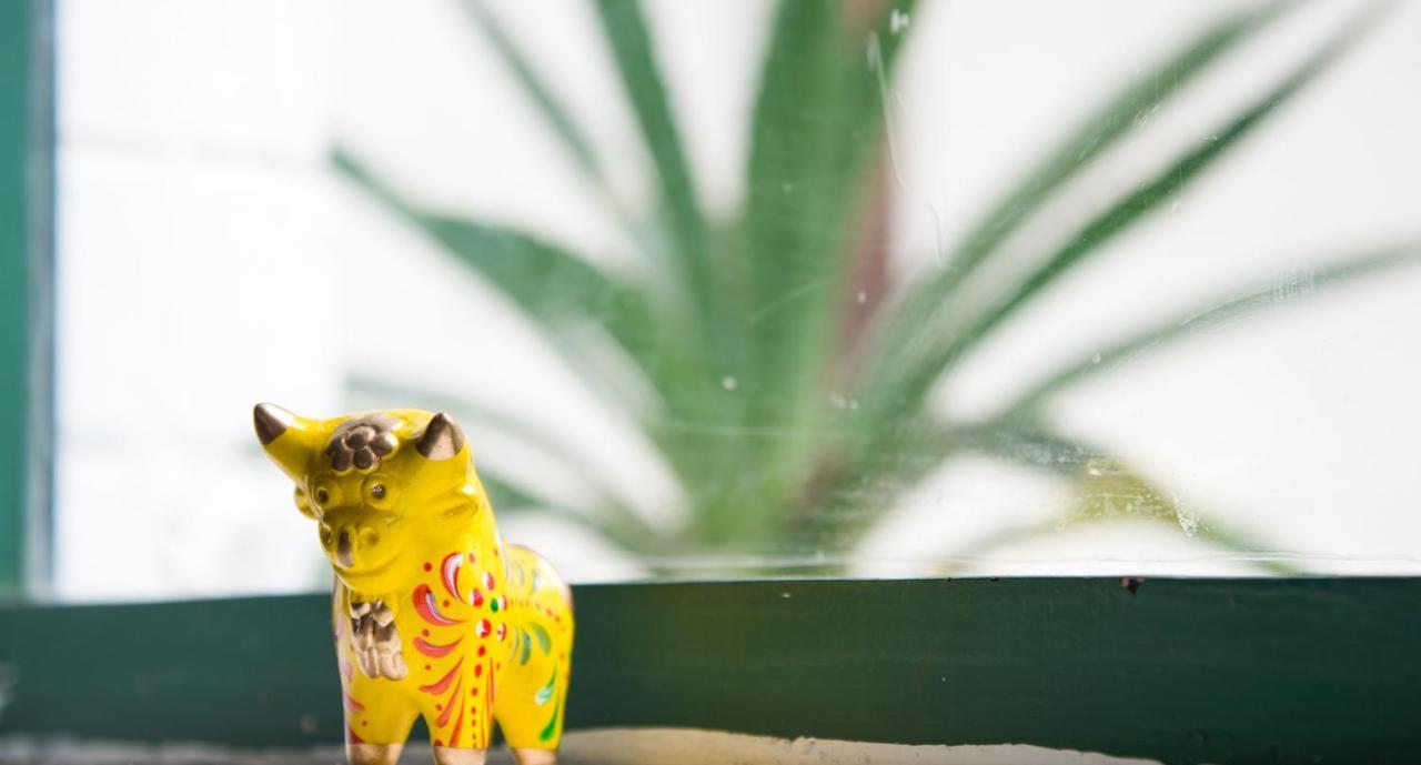Dragonfly Hostels Barranco Lima Ngoại thất bức ảnh